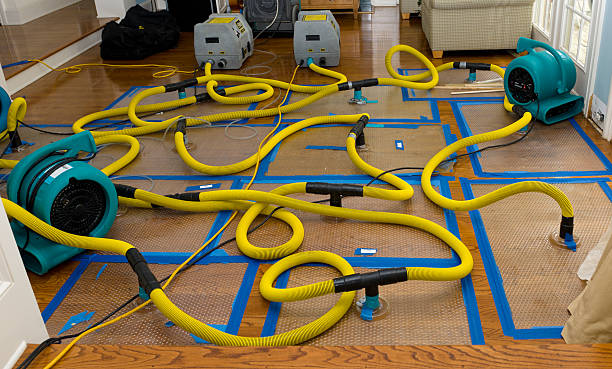 Professional Structural Drying And Dehumidification technician working in Rocky River, OH